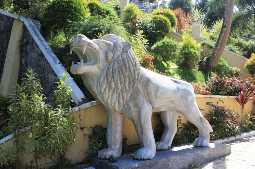 Photo 26