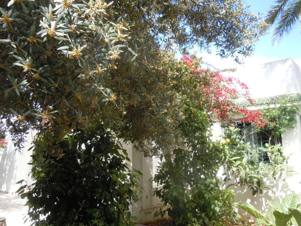 Photo 11
