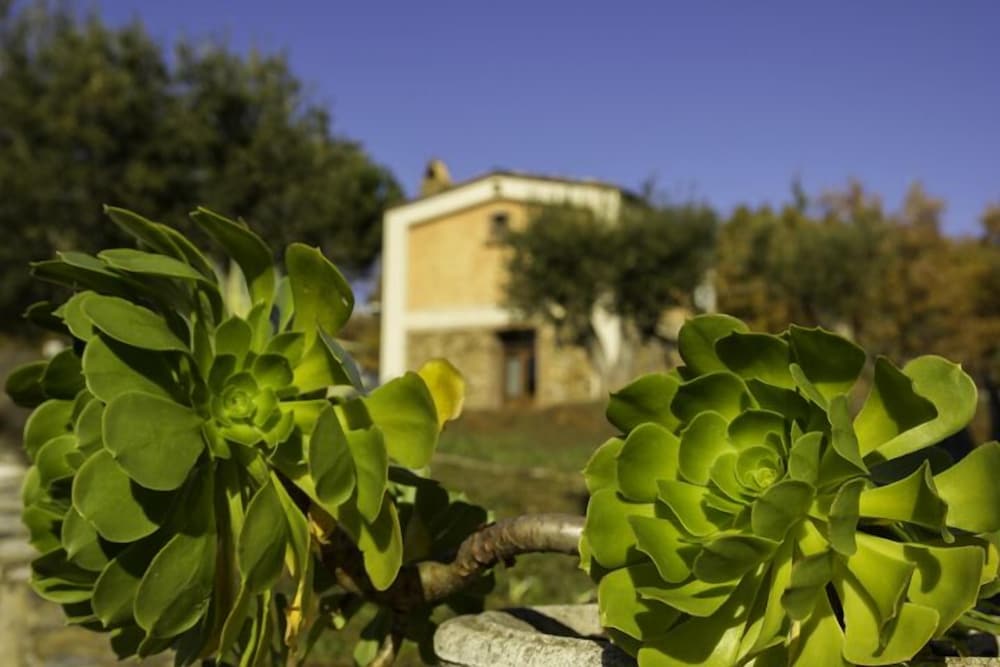 Agriturismo Fonte di Maroglio view 2