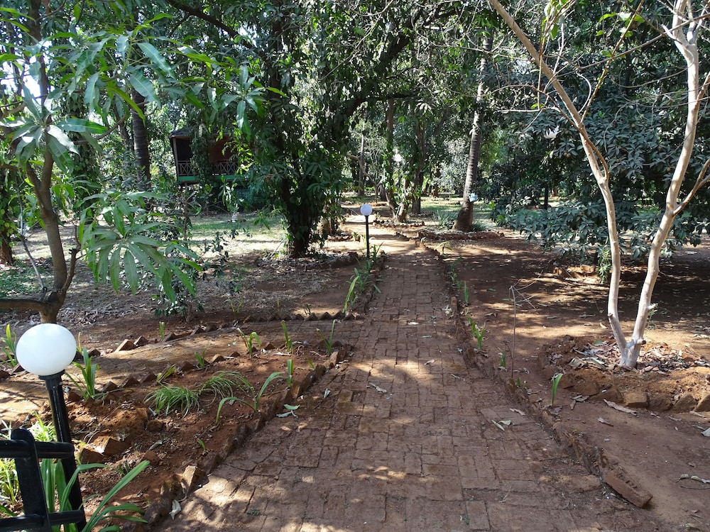 Photo 16