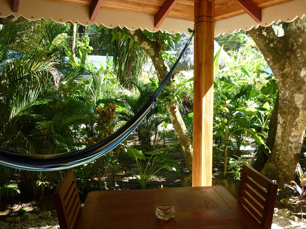 Hotel El Pequeño Gecko Verde