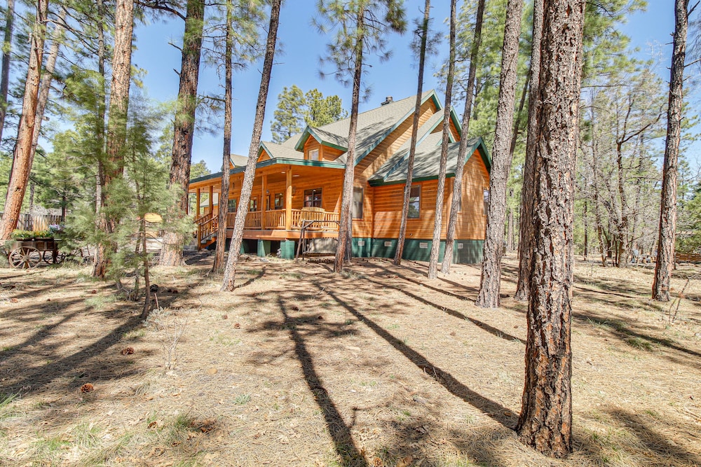 Rustic Lakeside Cabin on 3 Acres w/ Nature Views! view 5