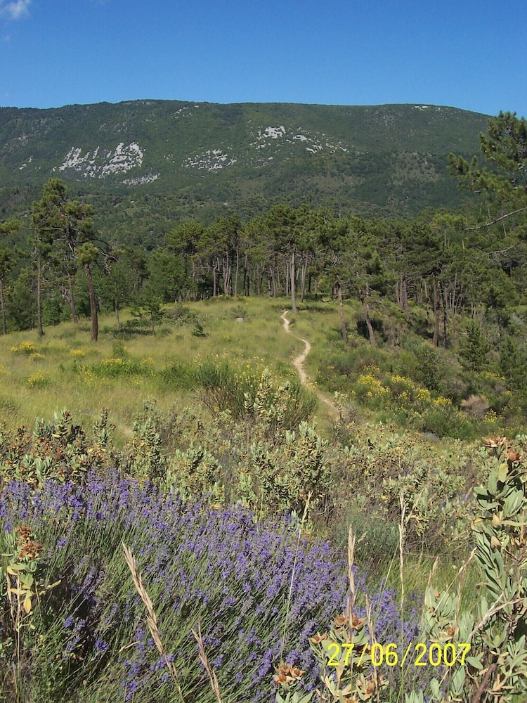 Photo 41