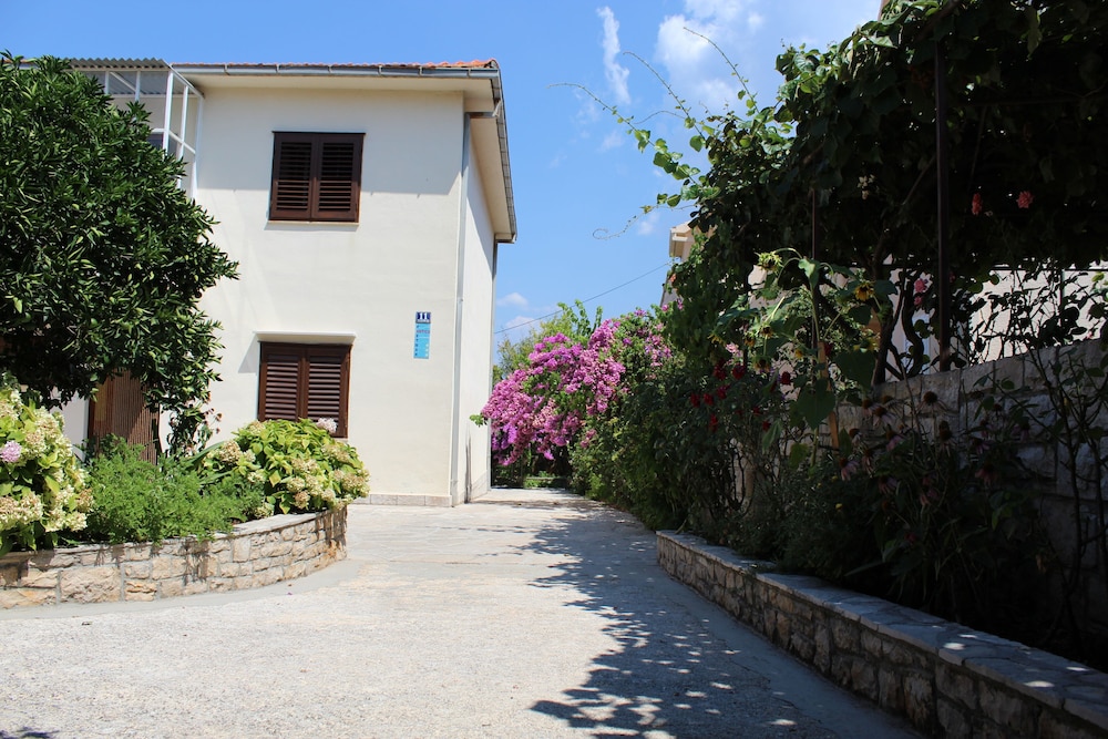 Photo 7