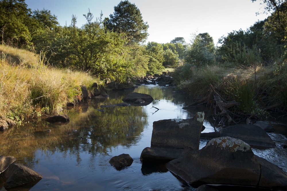 Whispering Waters