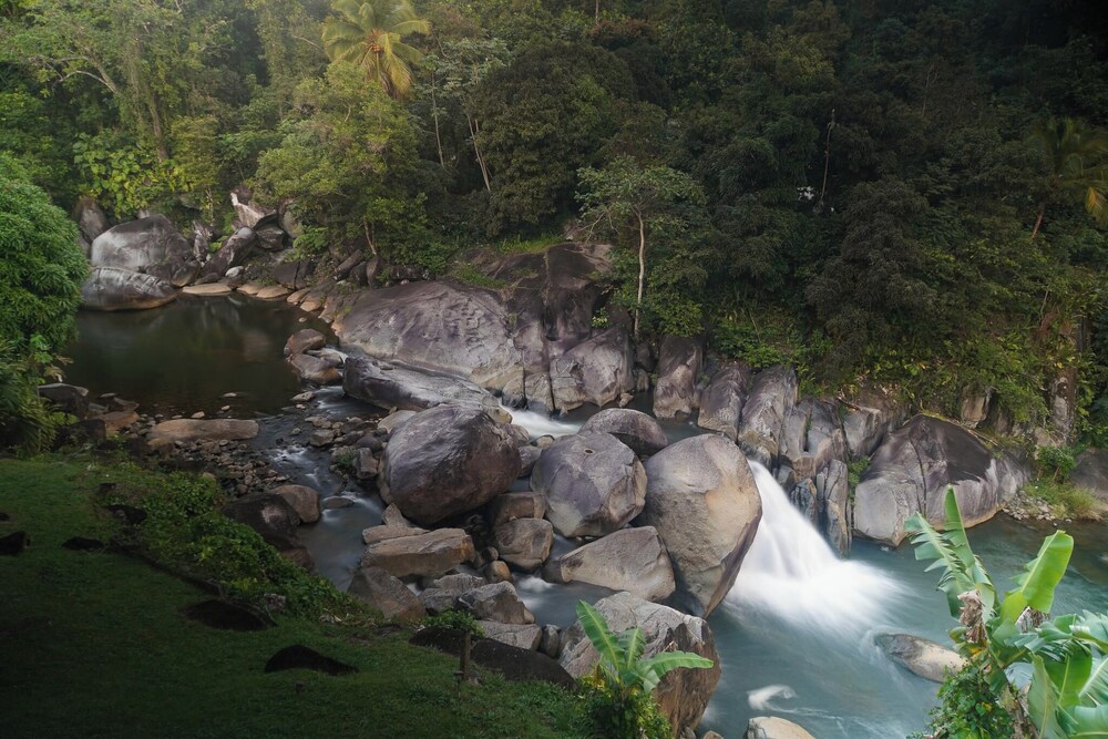 El Yunque Rainforest