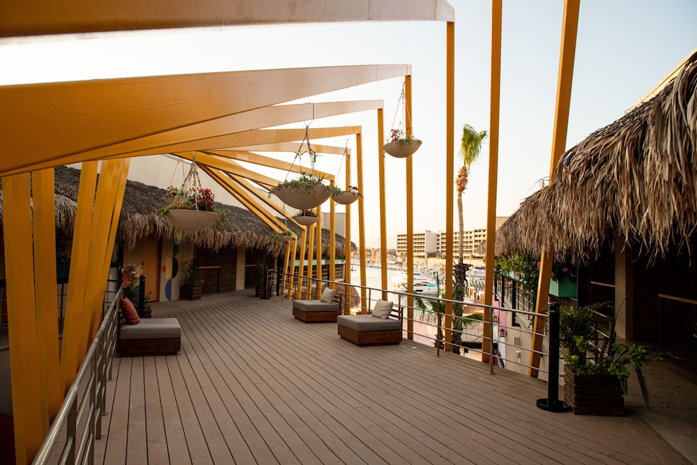 Mayan Monkey Los Cabos | Social Hotel - Image 5