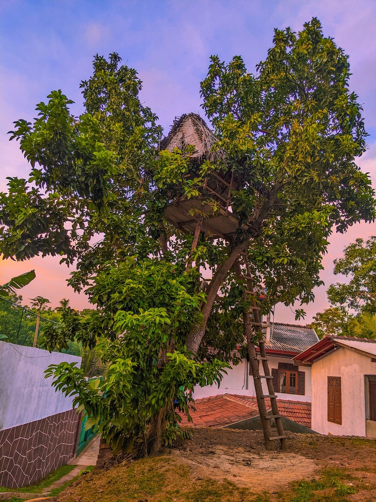 Photo 48
