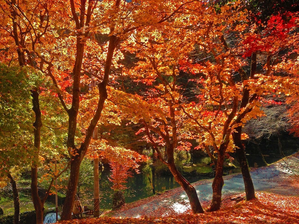 Ryoriryokan kinshokan