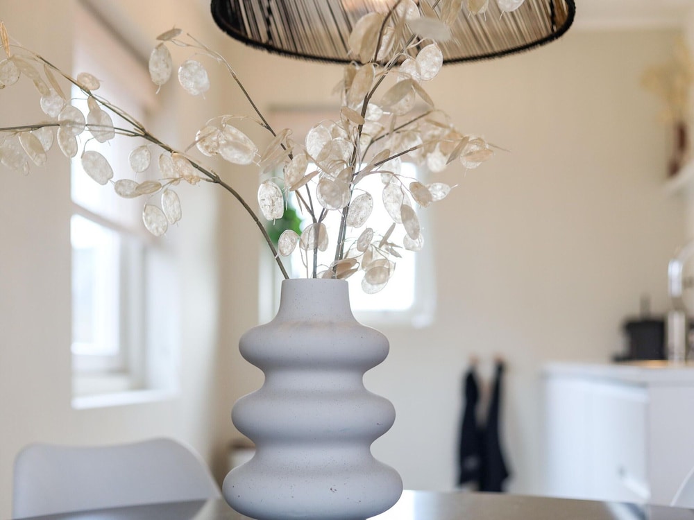Suite in Vrouwenpolder Near North Sea Beach