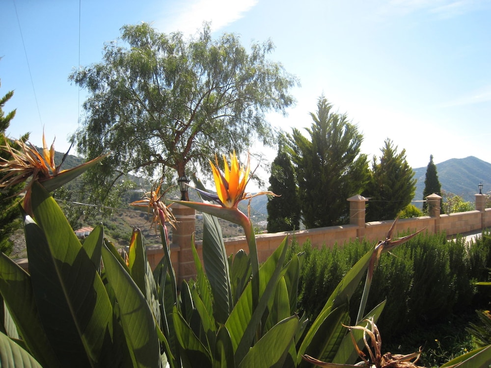 Luxury Villa in Sayalonga With Private Pool