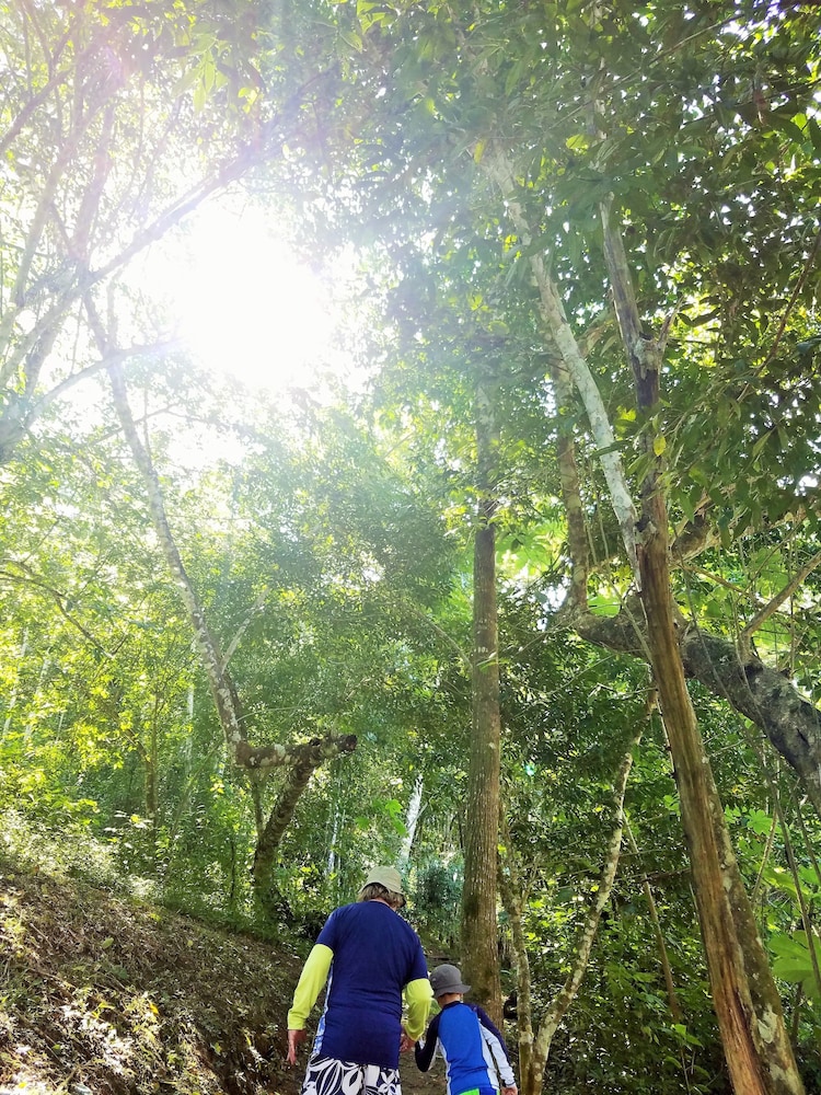 Belize Vacations - Table Rock Jungle Lodge - Property Image 65