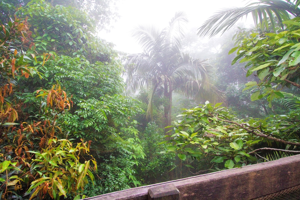 Mt Glorious Getaways