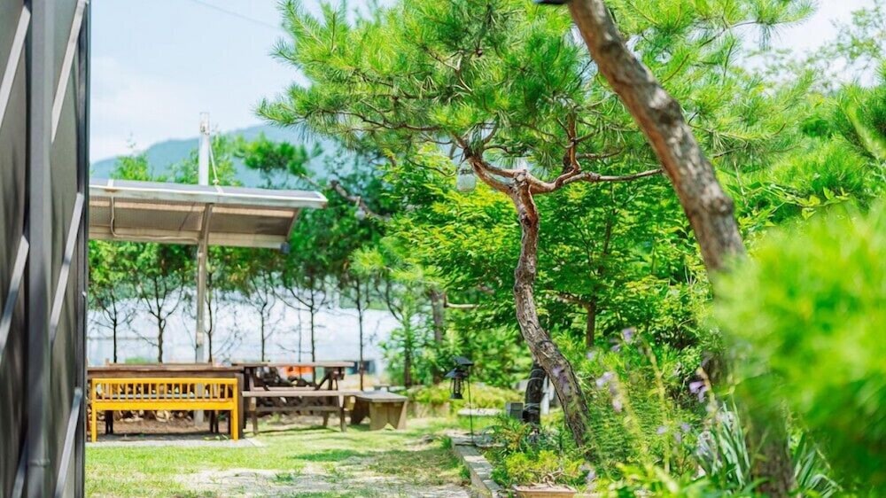 Chuncheon Stay 266