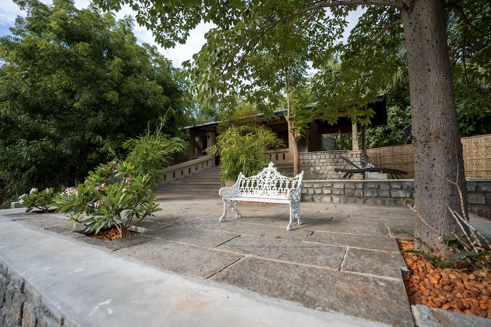 Photo 23
