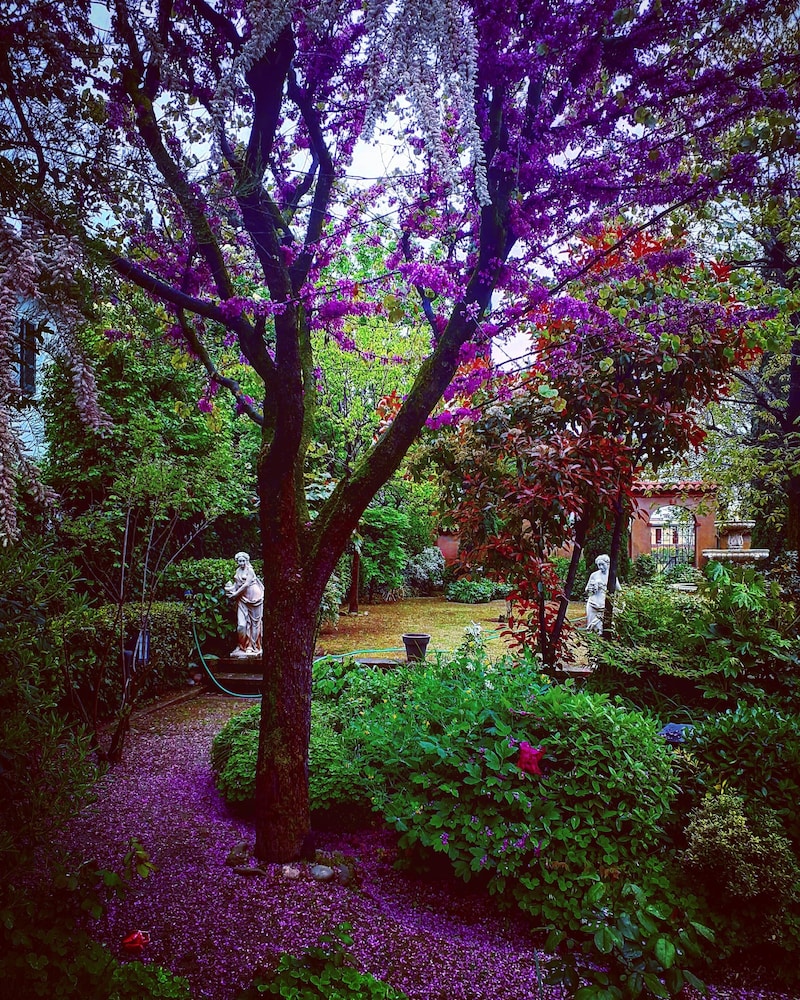 Photo 33