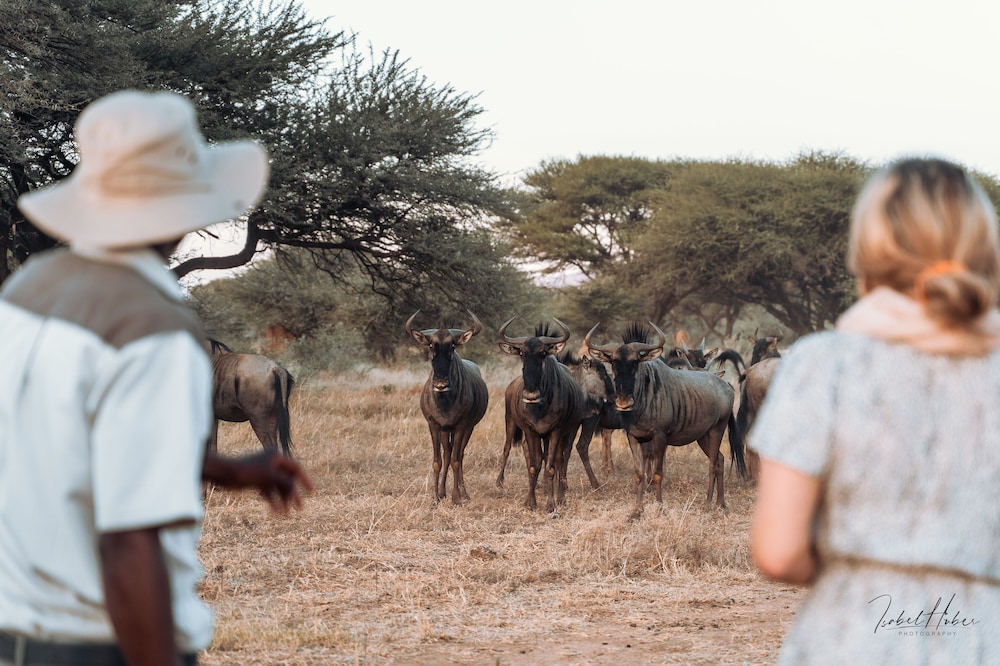 Gabus Safari Lodge