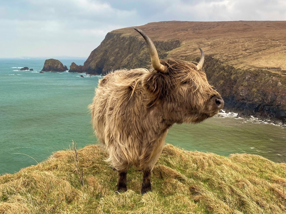 SEApods Luxury Glamping - Isle of Lewis