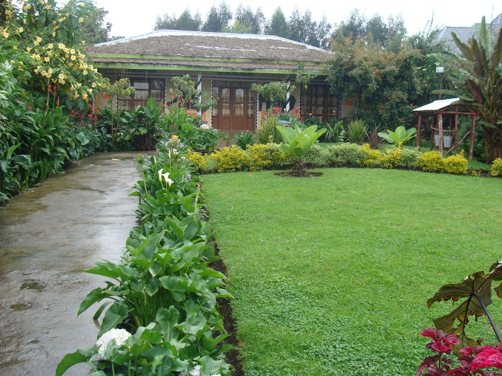 Photo 8