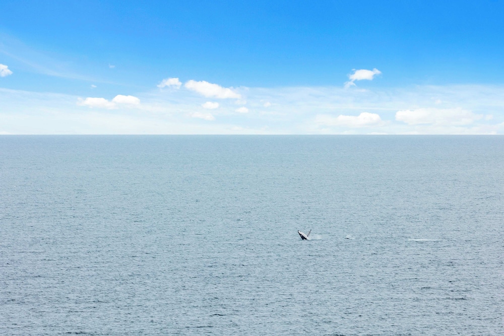18th Floor Ocean Views at Imperial Surf