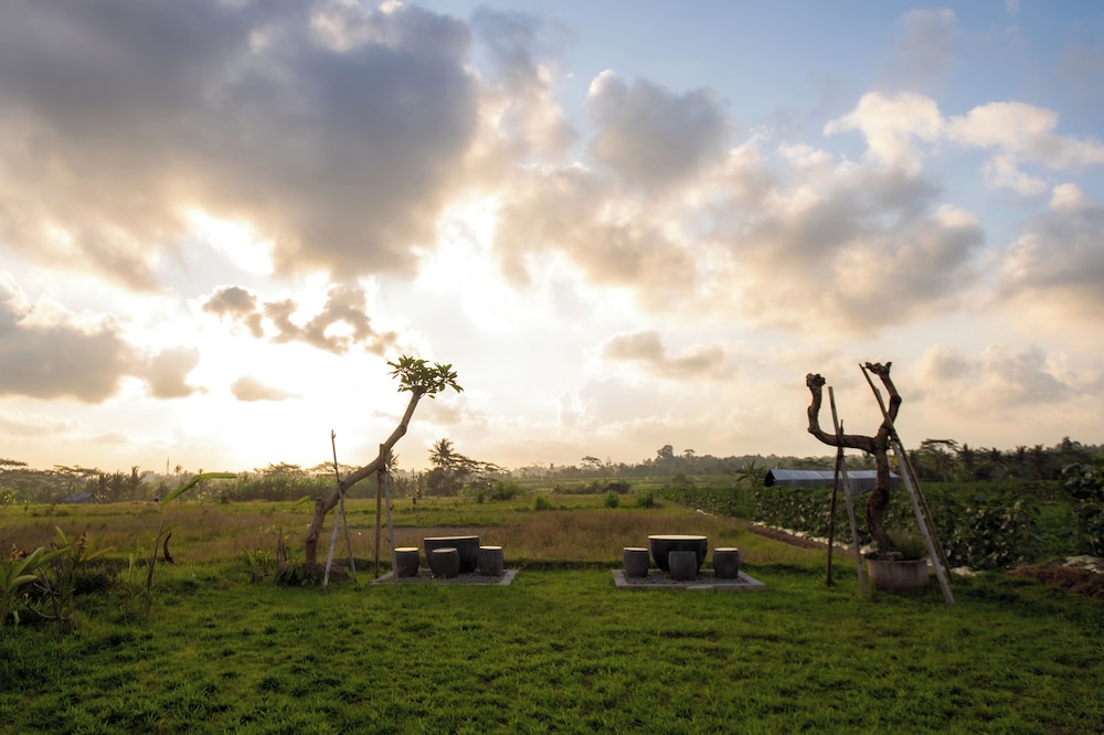 Sun Harvest Bali