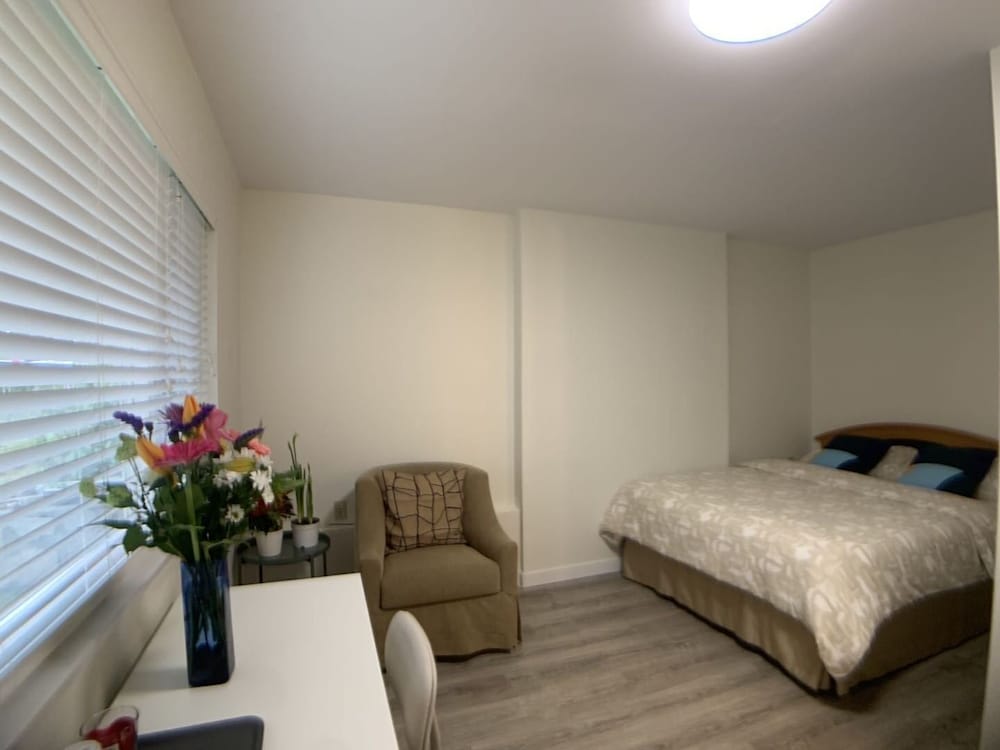 Old plum tree Style Suite view 2