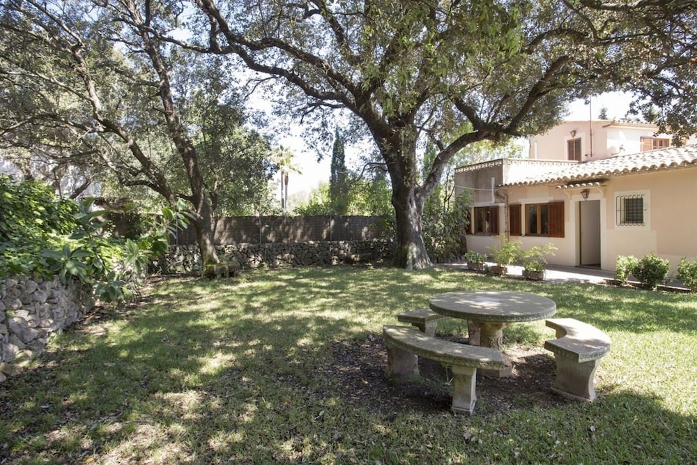 Photo 12