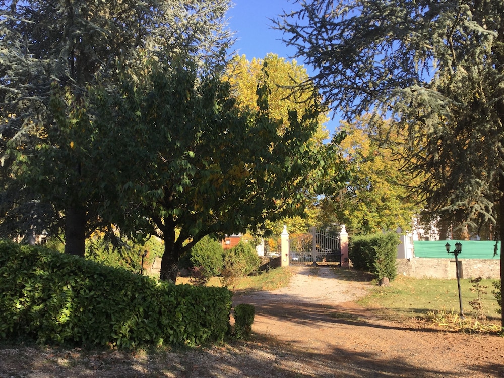 Photo 41