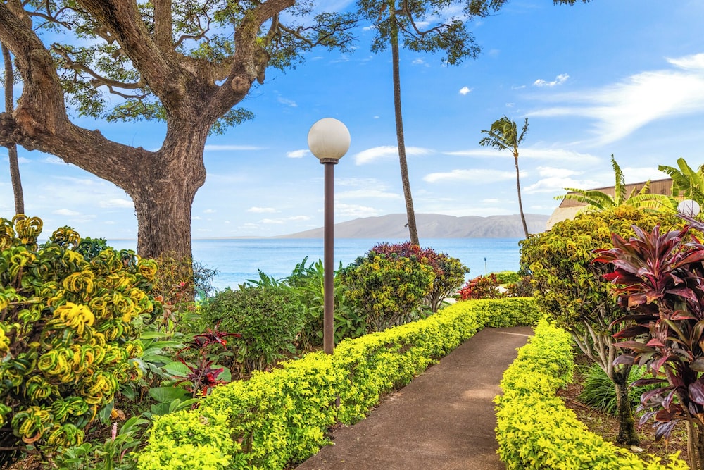 Kuleana Club - 402