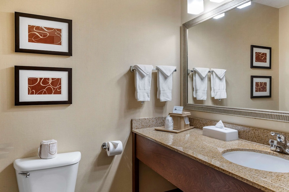 Albany Vacations - Comfort Suites Linn County - Property Image 20