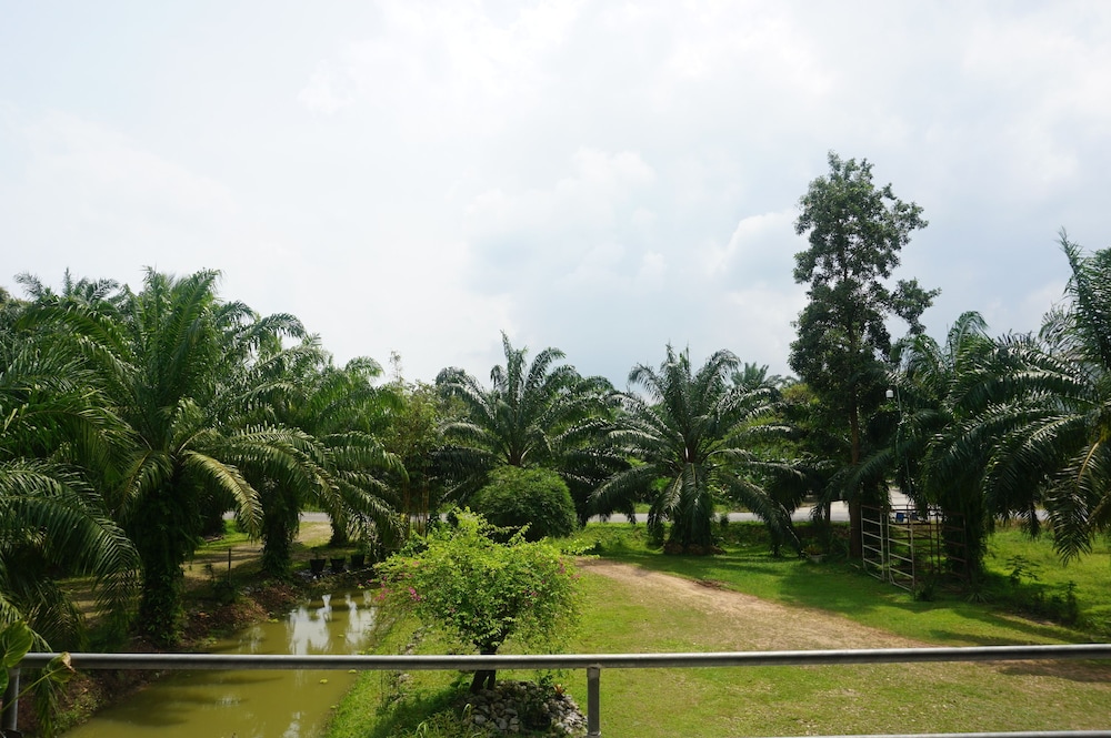 Steelloft  Home Stay view 2