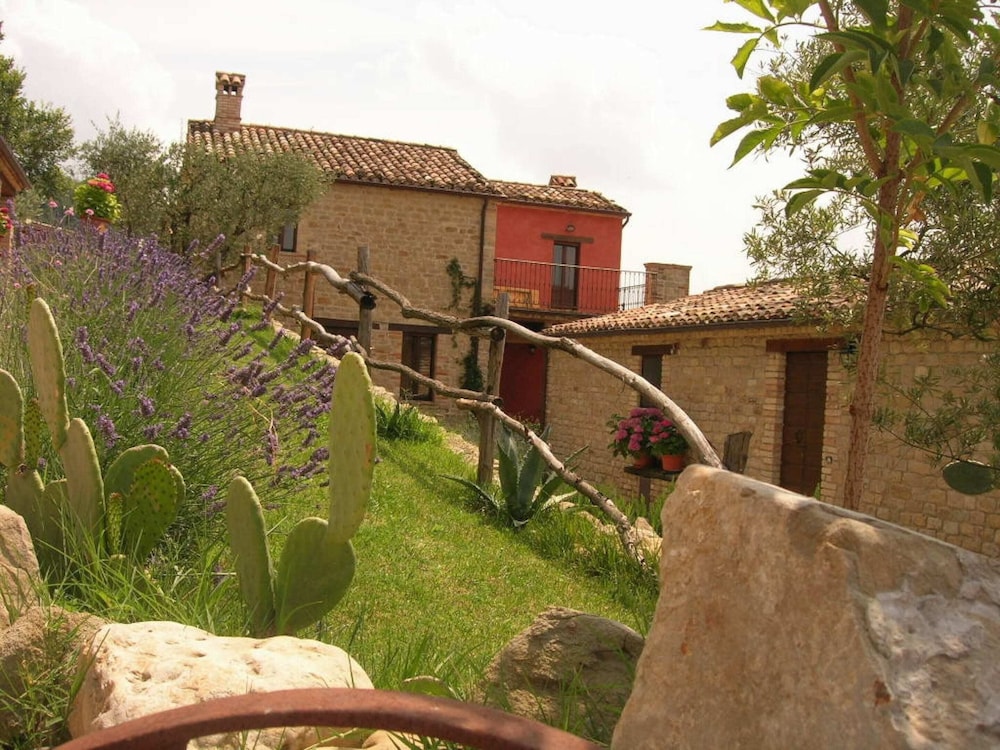 Photo 11