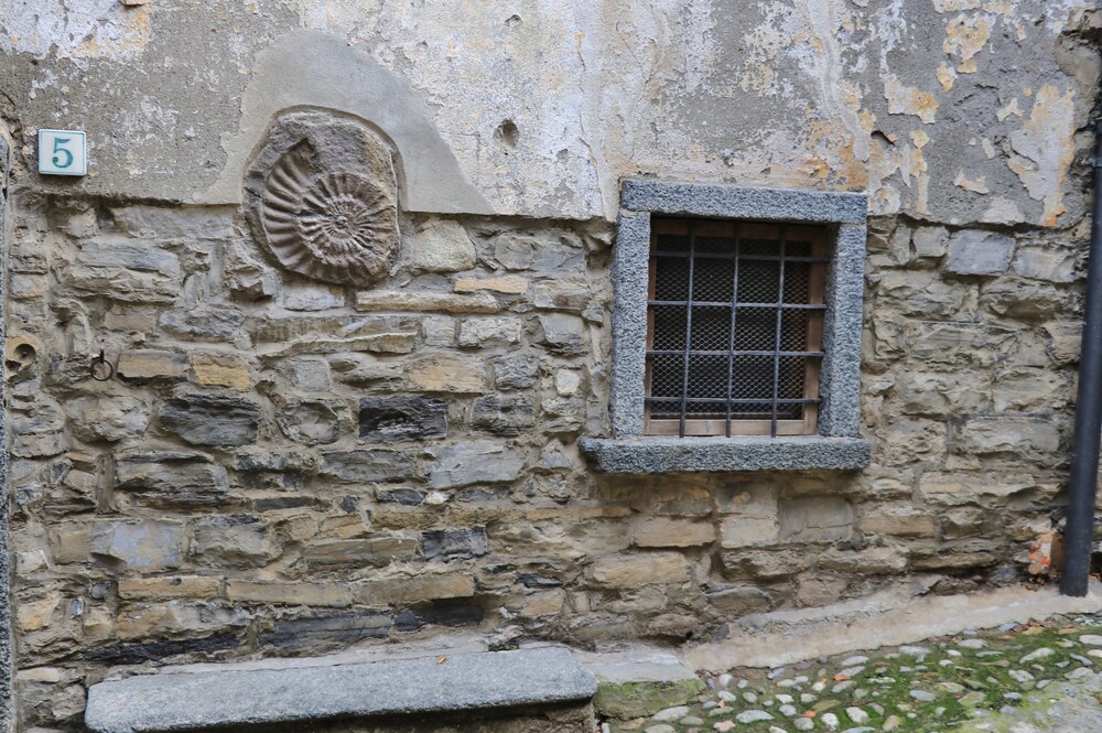 Photo 32