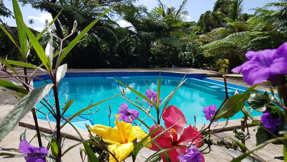 Sacred Garden Fiji - view 11