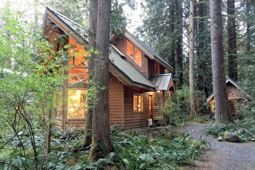 Snowline Cabin #4 - Pet-friendly Cedar Cabin With a Private Outdoor hot Tub!