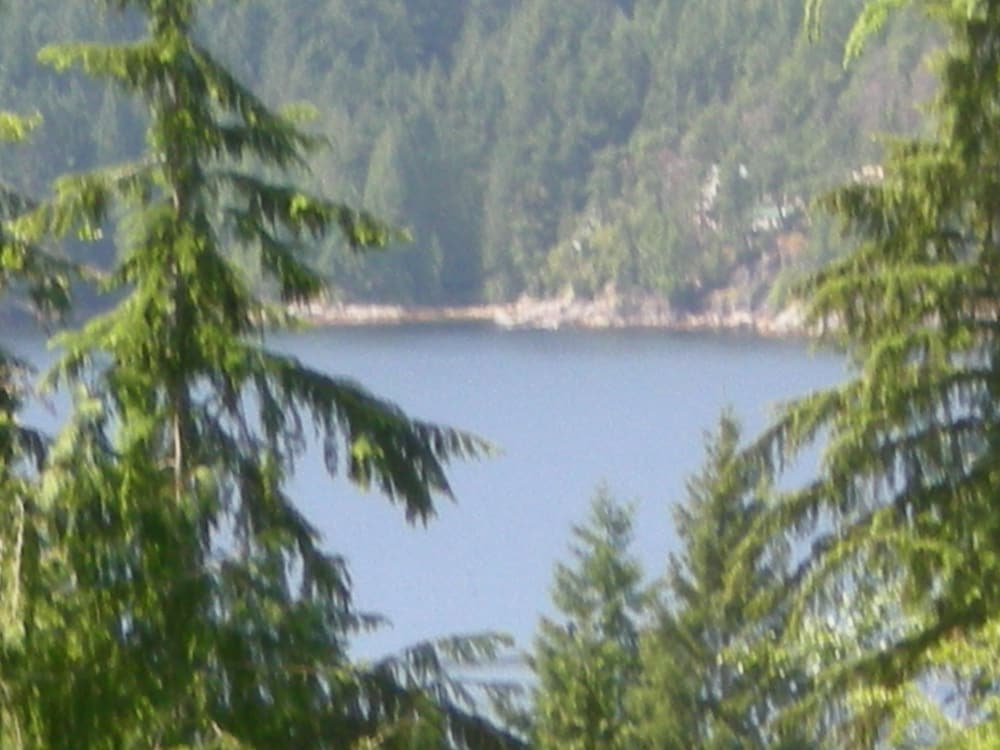 Davis Brook Retreat