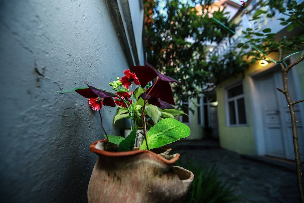 Photo 21
