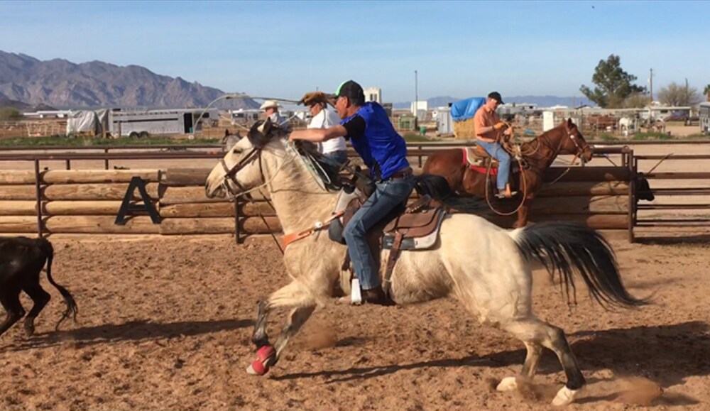 Montana Hill Guest Ranch