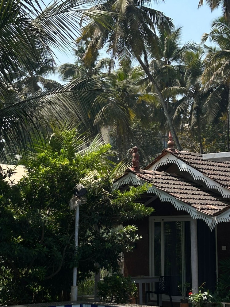 Golden Rice Resort