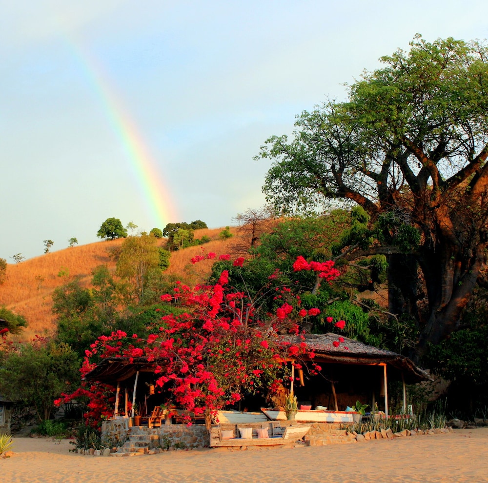 Mango Drift Lodge - Hostel view 3