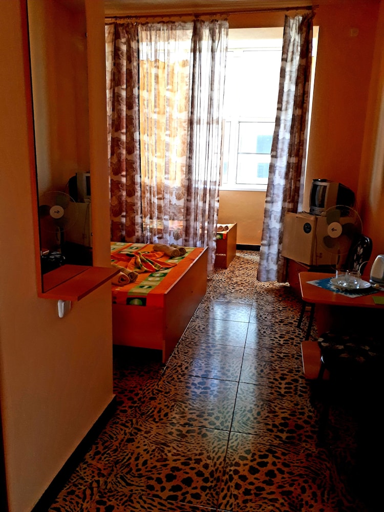 Rodnichok Guest House view 4