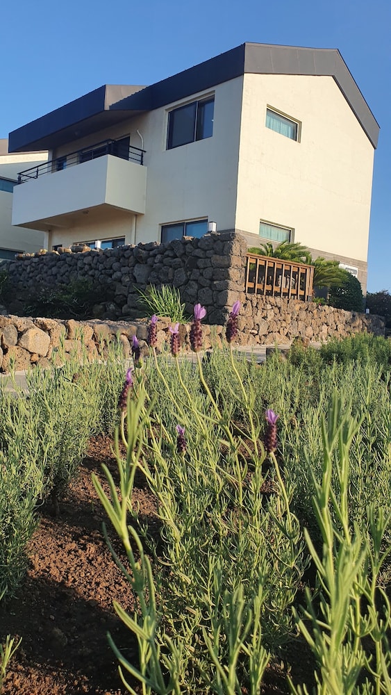 Jeju Cloudy Field House