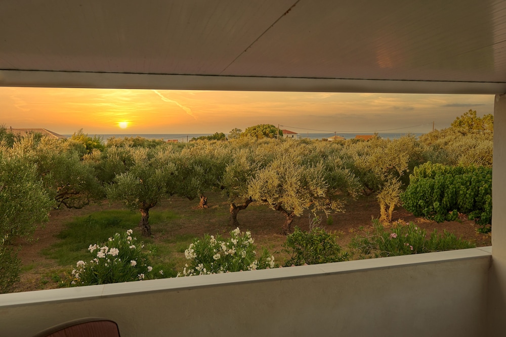 Villa Rania Zante Drosia