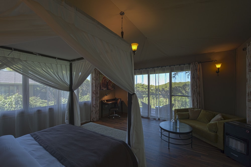 Ngorongoro Lions Paw view 5