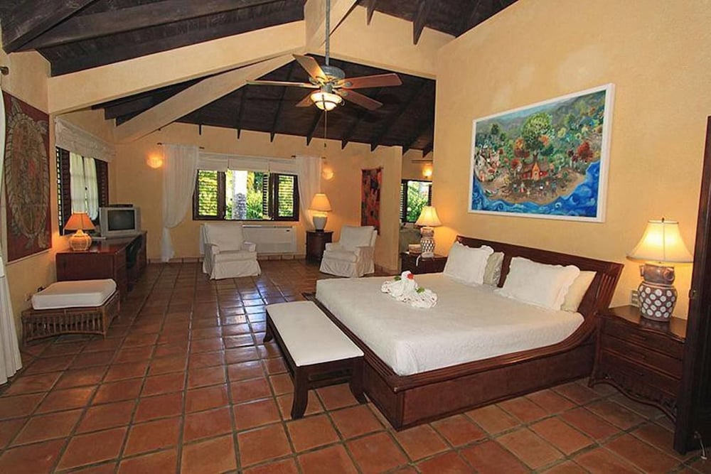 Villa Las Palmas Caribbean Family Vacation Rental view 3