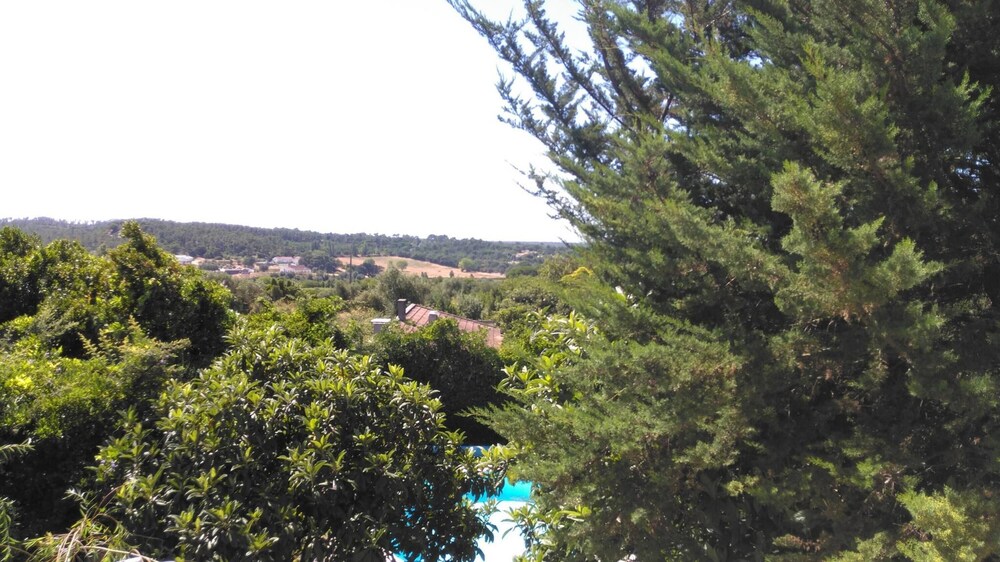 other