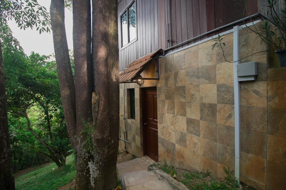 De Serenity - Exclusive Jungle Retreat