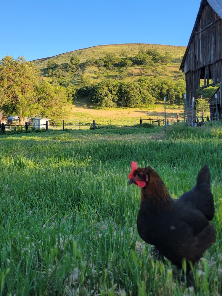 8 Mile Farm B&B