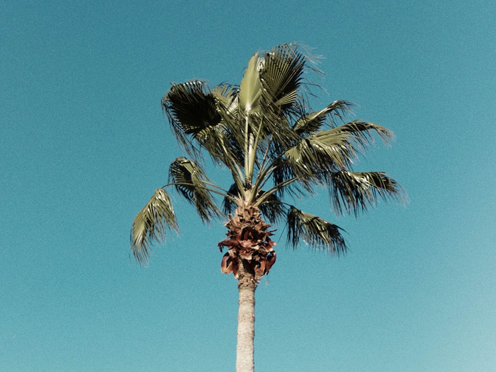 VIlla in Champions Gate Resort 1529 - Image 5