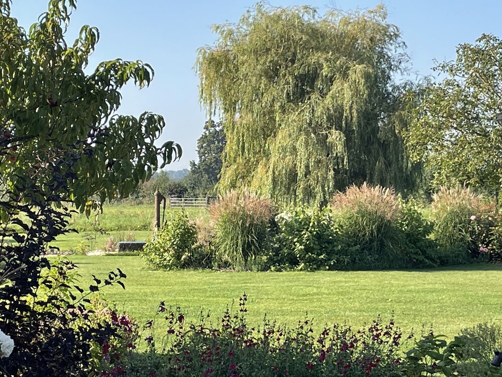 Aurefees view 5